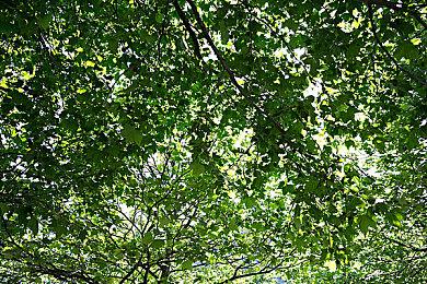 《星空之海》新预告短片展示典型RPG元素：航海